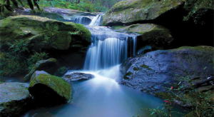 Read more about the article The Heart of the Hills: Community Life in Hills Shire